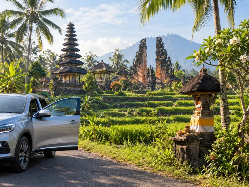 Private Car with Driver for a Day
