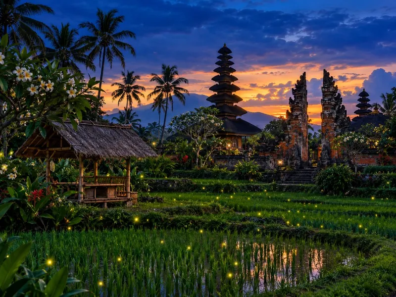 Fireflies, Farm Dinner & Rice Fields in Taro