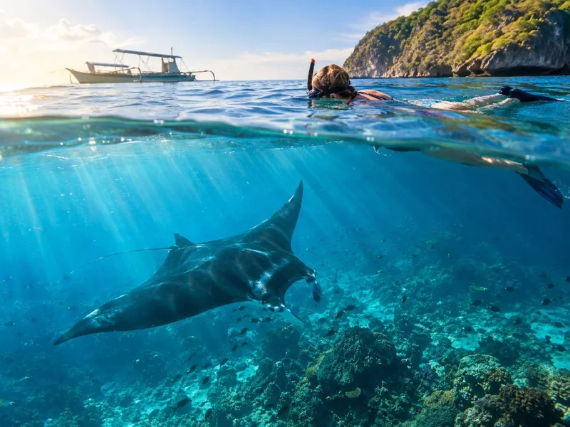 Nusa Penida: Manta Snorkeling & Kelingking Cliff
