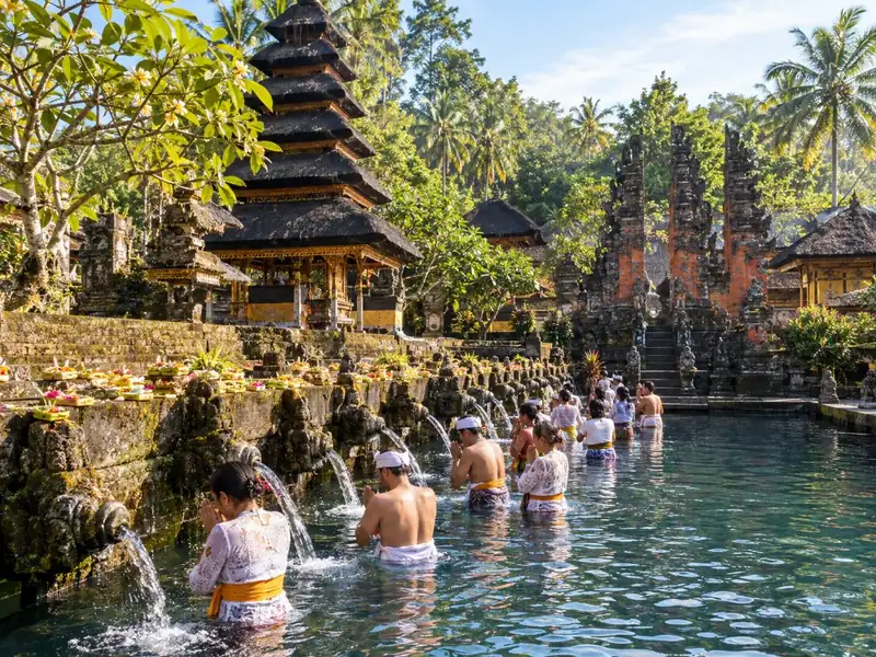 Ubud: Waterfalls, Water Temple & Rice Terraces